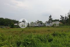 Đất shr 10x31 tx trảng bàng tây ninh chỉ 469 triệu