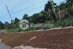 Cần bán gấp đất tân lạc bảo lâm