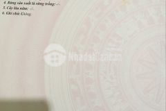 Đất rẻ bán sào dành cho nhà đầu tư ngay trung tâm tt cam đức