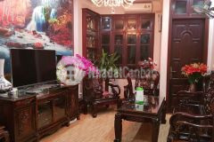 Mặt phố quận cầu giấy phân lô vỉa hè kinh doanh sầm uất giá 10.5 tỷ.lh 0916629390