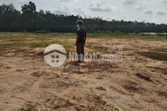 Cần tiền đáo hạn cần bán gấp đất tại phú chánh tân uyên