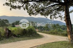 Cần bán 1150m, siêu nghỉ dưỡng cách hn 35km