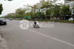 Nhà mặt phố giá trong ngõ 55m 2t 8xtỷ ngô gia tự long biên kinh doanh đỉnh
