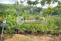 Bán lô đất mường sang mộc châu đón đầu sóng cao tốc hòa bình