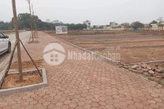 Lô hoa hậu tđc bình yên 50m 4mmt nhỉnh 1 tỷ lh0963292948