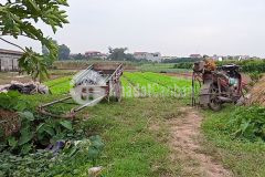 Bán 730m2 đất nông nghiệp ruộng trồng cây lâu năm được luôn tại gia lâm