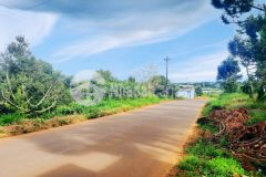 Bị giật huê cần tiền bán gấp