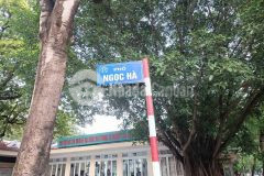 Siêu phẩm ngọc hà, ô tô đỗ, thang máy, kinh doanh, nhỉnh 11 tỷ