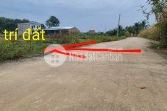 Đất shr 7x29 mặt tiền bê tông 6m phước đông gò dầu tây ninh