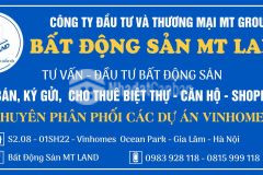 Quỹ căn biệt thự sao biển giá cực tốt cơ hội đầu tư số 1 tại vinhomes ocean park, gia lâm, hà nội
