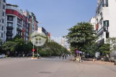 Bán tòa văn phòng phố trần thái tông, cầu giấy, dt 141m2, mặt tiền rộng, giá 61 tỷ.