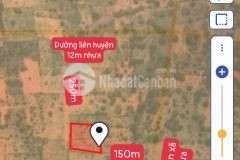 Bán lô đất cây lâu năm, mặt tiền 71m, cách biển 3,5km, gần liền kề 2 tuyến đường quy hoạch lớn.