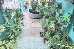 Bán nhà ngộp covid 4 tầng btct đường nguyễn tri phương quận 10