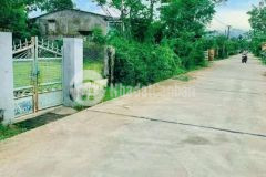 Gần 200m2 làm vườn đầu tư giá chỉ 3xx, đường oto 2 làn sát đường nhựa đt 605