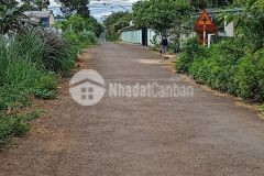 D720 bán 2 lô đất liền kề buôn tang ju giá chỉ 450 triệu1lo