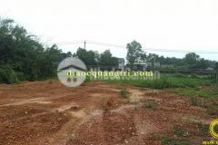 Mua bán đất quảng trị, mặt tiền quốc lộ 1a