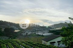 D1065 cần bán lô đất 2 mặt tiền hẻm ô tô đường dankia phước thành phường 7 tp đà lạt