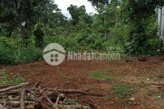 D721 bán đất hẽm cấp 1 buôn tang ju xã eakao giá chỉ 750 triệu