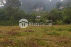 Bán nhanh đất lương sơn, hòa bình 3800m2, giá 3 tỷ