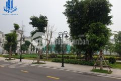 Bán ngay biệt thự song lập ngọc trai đảo to tại vinhomes ocean park, giá chỉ nhỉnh hơn 35 tỷ