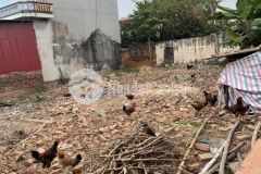 Bán lô đất 283m2 chản làng, sát kcn yên sơn bắc lũng giai đoạn 2, giá đang rẻ chỉ 2 tỷ.