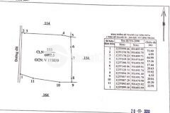 6,800m2 đất lâu năm xã phan hiệp, lô đất hình vuông, mtd nhà nước rộng 71m giá 150km2