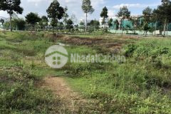 Cho thuê 1.000m2 đất đối diện công viên nhật bản kdc ngân thuận bình thủy cần thơ