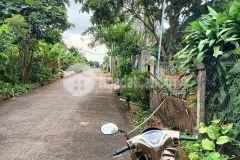 Đất sau chợ đầu mối tân hòa 100m