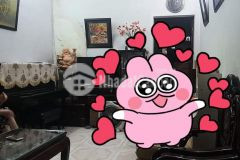 Ban nha phân lô, ô tô, ngo thông 4.8 ty yên lac phô hai ba quân.