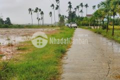 Đất ngã 3 quán lát, đức chánh, mộ đức dt 150m2 giá 294 triệu