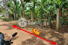 Đất hẻm cao thành xã eakao gần chợ bách hóa xanh