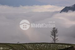 Đầu tư là thắng với siêu phẩm thôn du lịch hot nhất y tý