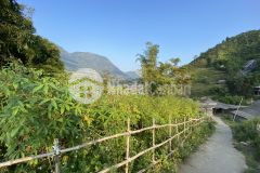 Bán lô đất vị trí khu đang hót như thảo nguyên thụy sỹ giữa lòng sapa