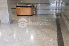 Homestay cầu giấy 304m29t 15m mặt tiền tổng hợp căn hộ cho thuê doanh thu khủng