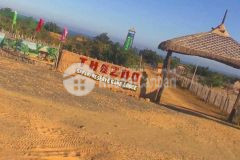 Bán 1,1ha đất vườn cây lâu năm, view biển, đồi cát bàu trắng, thozoo. lh tôi có zalo