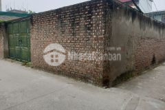 Bán mảnh đất chia 3 lô cực đẹp ở nguyễn khoái, lô góc 3 xe tải đỗ cửa, 105m2 x 12m mt giá 9.3 tỷ