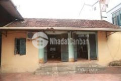 Cần bán gấp mảnh đất phố đồng cổ tây hồ, 301m2 mt 8m, giá 45 tỷ.