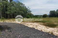 Đất giá rẻ, phân lô rõ ràng,có nhiều lợi ích khi,chúng ta cần kinh doanh.