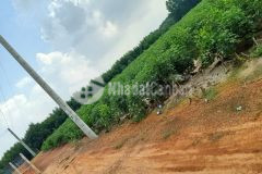 Chính chủ cần bán gấp lô đất ngay sân bay long thành,liên hệ 0396297255