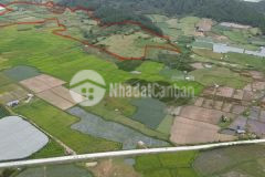 D1069 cần bán đất nông nghiệp tại p ró h. đơn dương lâm đồng.