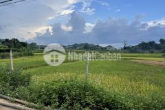 Bán mảnh đất 1ha tại mộc châu giá đẹp cho các nhà đầu tư sinh lời