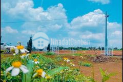 Đất khu nghỉ dưỡng, view đồi tại tt tp.bảo lộc 91m2 chỉ nhỉnh hơn 800 tr.