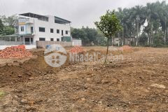 Chính chủ nb lô góc 2mt sát làng đhqg gần đại lộ thăng long.