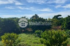 Bán nhanh lô đất cho anh chị trả tiền ngân hàng 460tr