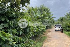 D729 bán đất draysap 2 lô liền kề giá 315 triệu 1 lô