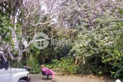 Bán gấp 1483 mét đất đang kinh doanh homestay gần mặt đường ngọc thụy.