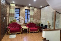 Biệt thự kđt mới sài đồng, sống đẳng cấp, hàng xóm vinhomes riverside.