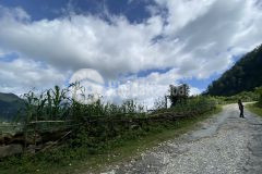 Bán mảnh đất 2.000m2 tại thôn hang đá sapa có sổ chính chủ, an toàn đầu tư