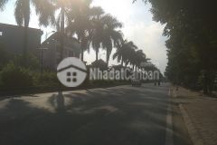 Bán đất phân lô liền kề 50m2, vuông đẹp, ô tô, lê trọng tấn, hà đông, 5,6 tỷ