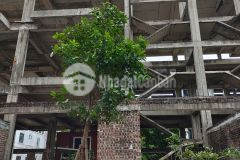 Bán biệt thự xây thô, khu nhà ở bộ tl thủ đô, dt 146m, mt 9.0, ôtô kd, 9.5 tỷ